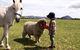 Taras Richmond Farmstay - thumb 2