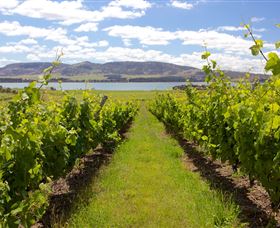 Riversdale Estate Cottages - Stayed 0