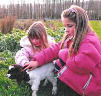 Huon Valley Caravan Park - Stayed