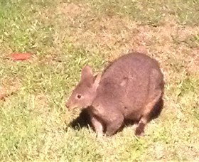 Huon Valley Bed And Breakfast - Stayed 3