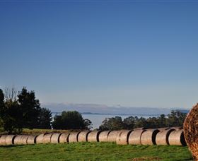 Clear Creek Cottage - Stayed 5