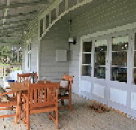 Wavestation - Stayed