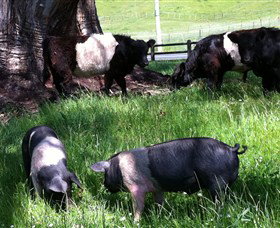 Hurlfield Farm Cottage - Stayed 2