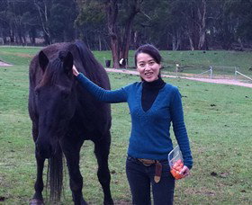 Hurlfield Farm Cottage - Stayed 5