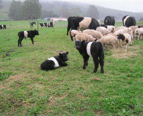 Hurlfield Farm Cottage - Stayed 3