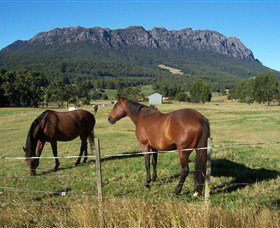 Hurlfield Farm Cottage - Stayed 4