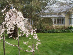 Barrington TAS Stayed