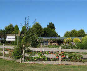 Blueberry B & B - Stayed 1