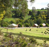 Tin Dragon Trail Cottages - Stayed