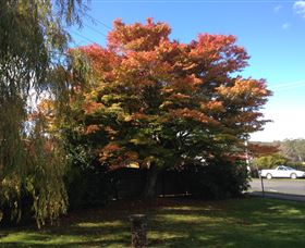 Acacia Bed And Breakfast - Stayed 3