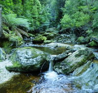 Tarkine Wilderness Experience at Corinna - Stays Accommodation