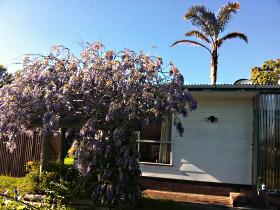 North East Apartments - Stayed 1