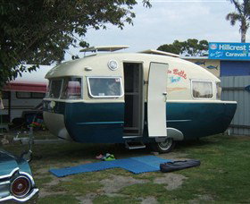 Stieglitz TAS Stayed