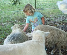 Hide-Away Cottage Retreat - Stayed 3