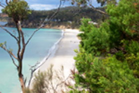 Spring Beach TAS Stayed