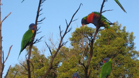 Captains Lodge International - Stayed 2