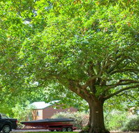 Lakes and Craters Holiday Park - Stayed