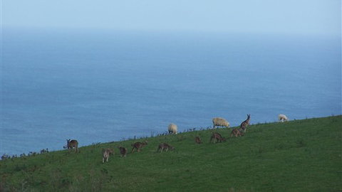 Clifton Beach Lodge - Stayed 5