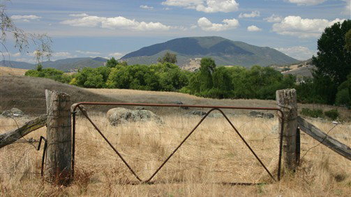 Cudgewa ACT Stays Accommodation