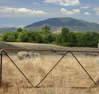 Elmstead Cottages - Stayed