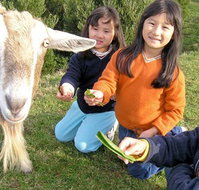 Johanna River Farm and Self Contained Cottages - Stayed