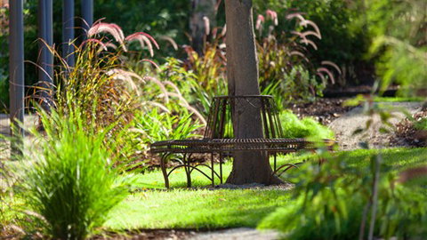 Comfort Inn & Suites Blazing Stump - Stayed 5