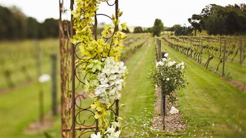 Glen Erin At Lancefield - Stayed 8