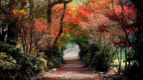 Lindenderry At Red Hill - Stayed 7