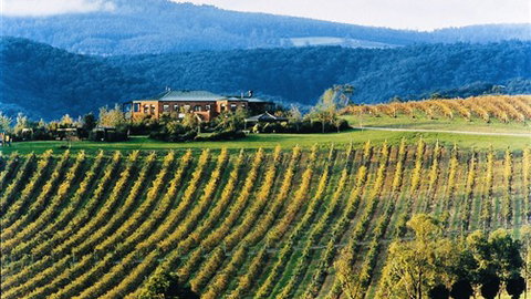 Yering Gorge Cottages - Stayed 1