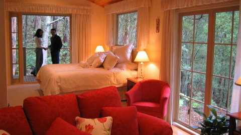 Myers Creek Cascades Luxury Cottages - Stays Accommodation 4