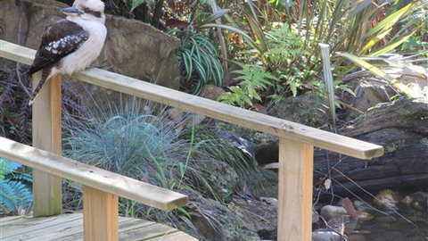 Myers Creek Cascades Luxury Cottages - Stays Accommodation 5