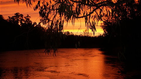 Cadell On The Murray Motel - Stayed 0