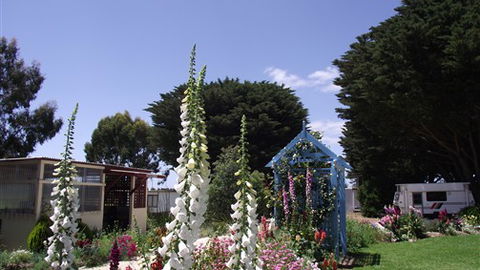Colac Otway Caravan & Cabin Park - Stayed 1