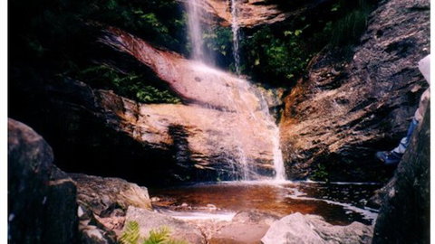 Happy Wanderer Holiday Resort - Stayed 1