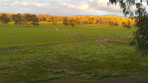Rotherlea Lodge - Stayed 4