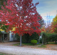 Bright Caravan Park - Stayed