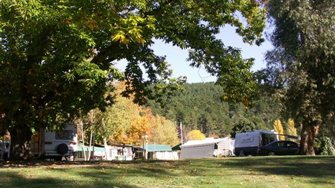 Porepunkah Pines Holiday Park - Stayed 5