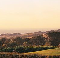 The Studio Bed and Breakfast - Stayed