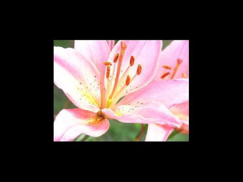 A Country House At Winstanley - Stayed 3