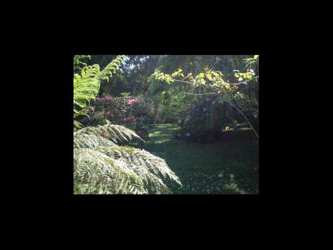 A Country House At Winstanley - Stayed 4