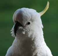 Around About Lorne Studios or BB - Stayed