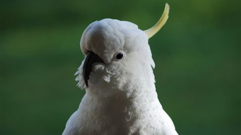 Around About Lorne Studios Or B&B - Stayed 0