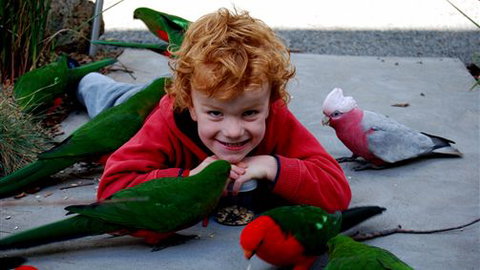 Around About Lorne Studios Or B&B - Stayed 3