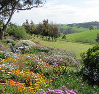 Loves Lane Cottages - Stayed