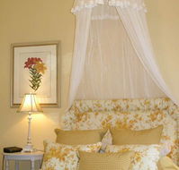 Otira On Needle's Eye - Stayed