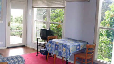 Otira On Needle's Eye - Stayed 2