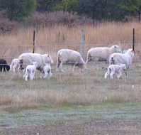 Auberge Woodend - Stayed