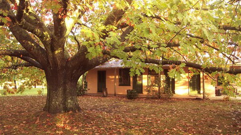 Delatite Station - Stayed 3