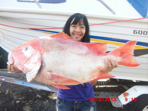 Flying Fish Point Tourist Park - Stayed 6