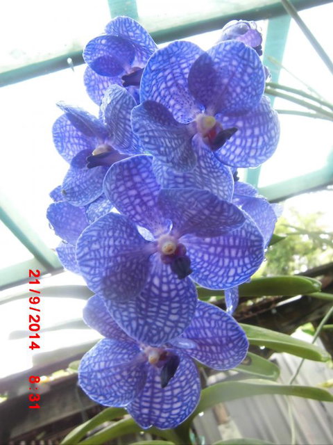 Flying Fish Point Tourist Park - Stayed 8